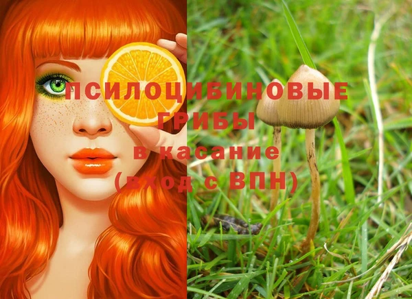 герыч Белокуриха