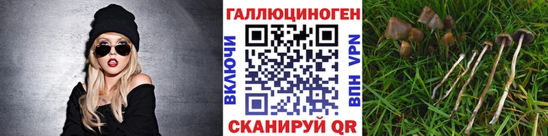 Псилоцибиновые грибы прущие грибы как найти закладки Тулун