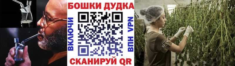 Бошки Шишки планчик  Тулун 